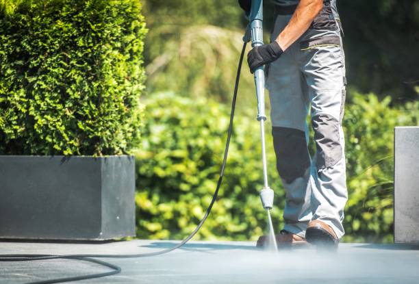 Best Warehouse Cleaning  in Martinsvle, IL